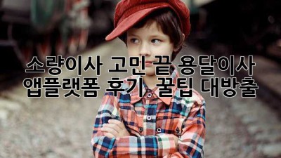 📦 소량이사 고민 끝! 용달이사 앱/플랫폼 후기 & 꿀팁 대방출 🍯